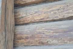 dom_szwajcarski-wyspa_Edwarda-Lepianka-len_w_szczelinach_pomiedzy_belkami-izolacja_lnem-12