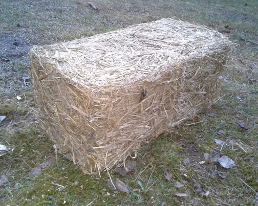 Bloczki gliniano-słomiane